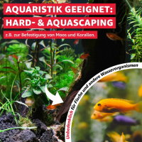 Everglue Sekundenkleber Gel extra starker Halt 20g