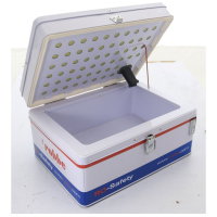 Robbe Lipo Tresor Koffer Lipo Bag wie Bat-Safe