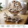 UGEARS Globus mechanischer Holz-Modellbausatz 3D Holz-Puzzle