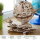 UGEARS Globus mechanischer Holz-Modellbausatz 3D Holz-Puzzle