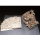 UGEARS Stufenbahn Murmelbahn Modellbau 3D Holz Puzzle Bausatz 70157