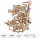 UGEARS Murmelbahn mit Stufenwinde 3D Holz Bausatz HolzPuzzle Modellbausatz 70170