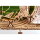 UGEARS Harry Potter Quidditch Pinball Flipper 3D Holz Bausatz Modellbausatz