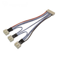 3 x 2S > 6S Balancer Ladekabel XH-EH